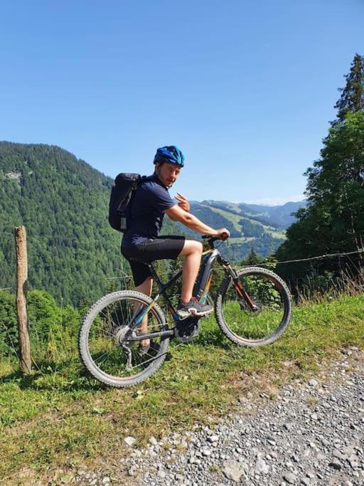Appartement La Duchere Le Plan-La Giettaz Massif Des Aravis Dış mekan fotoğraf