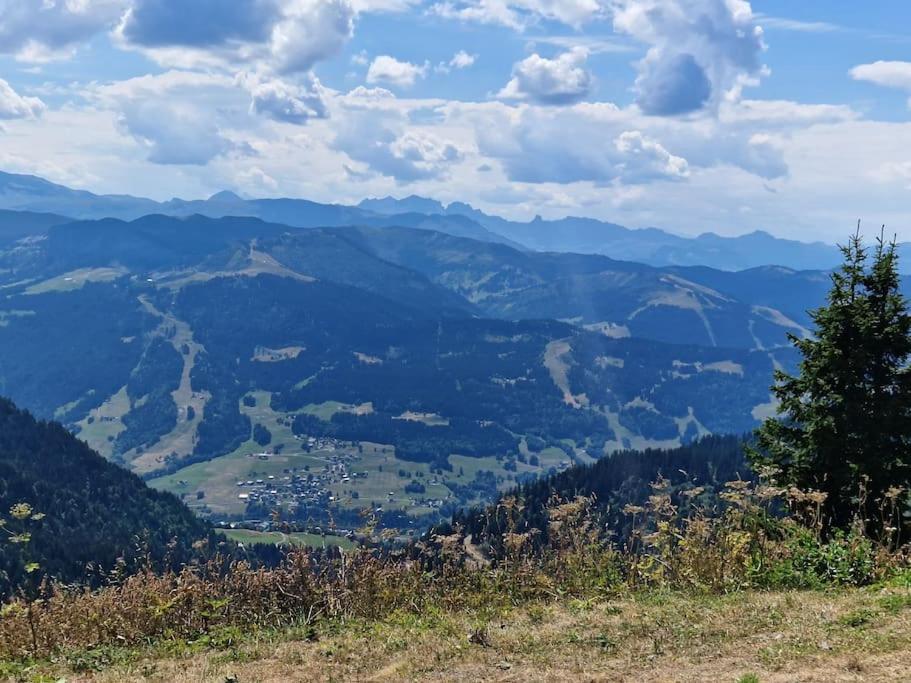 Appartement La Duchere Le Plan-La Giettaz Massif Des Aravis Dış mekan fotoğraf