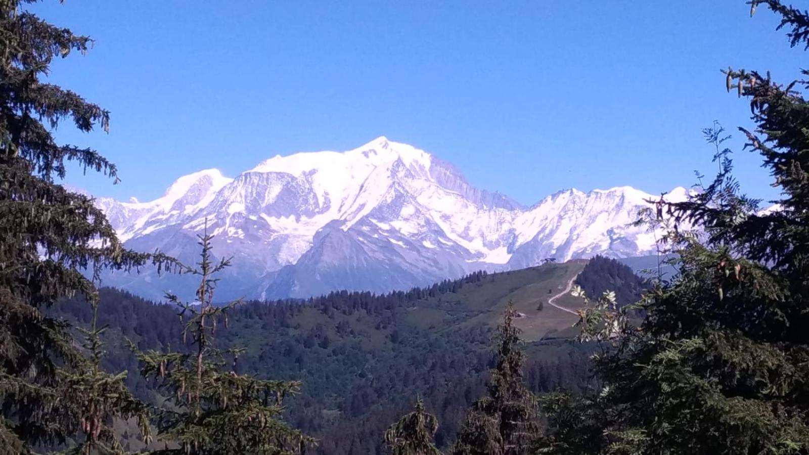 Appartement La Duchere Le Plan-La Giettaz Massif Des Aravis Dış mekan fotoğraf