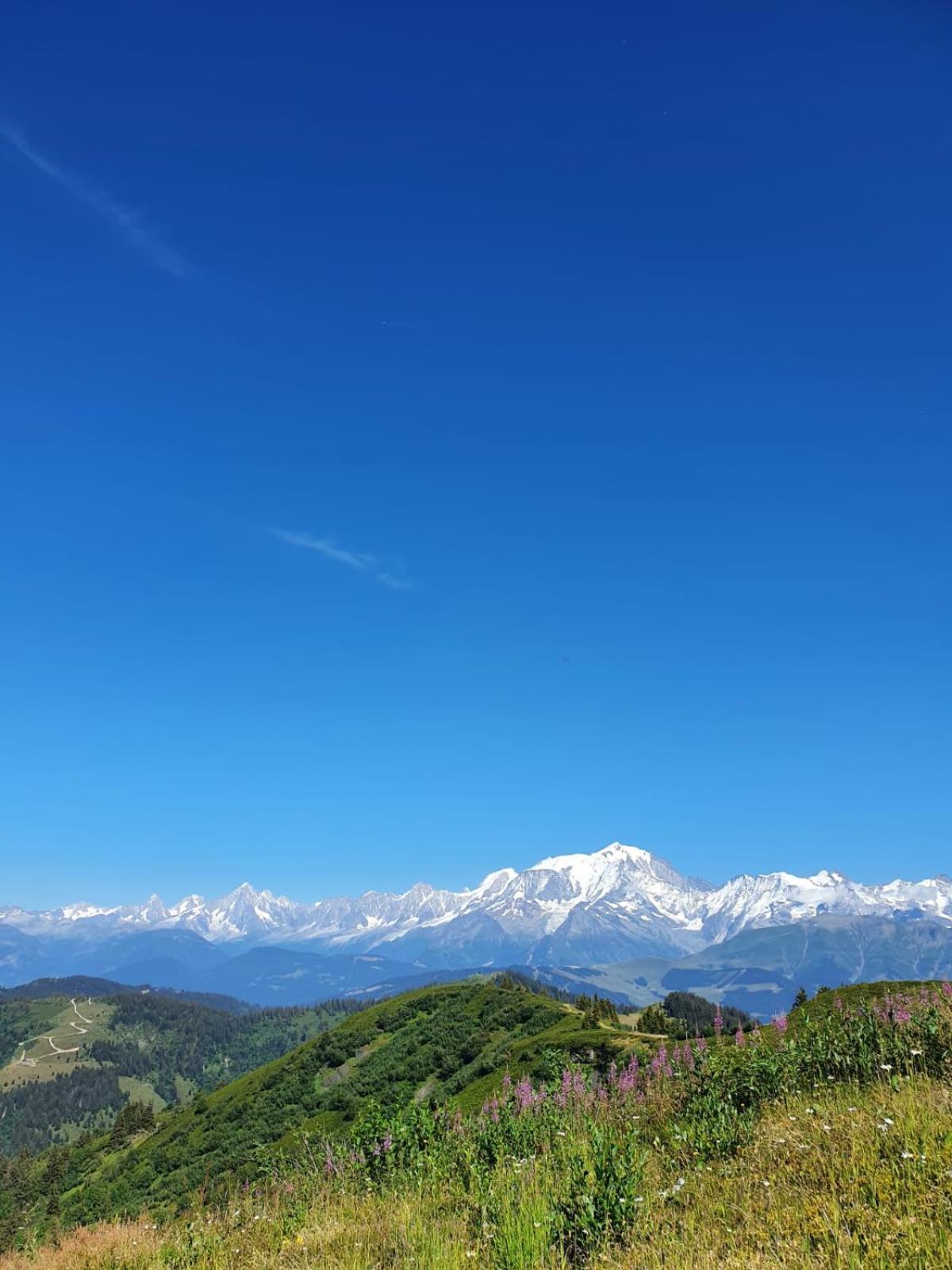 Appartement La Duchere Le Plan-La Giettaz Massif Des Aravis Dış mekan fotoğraf