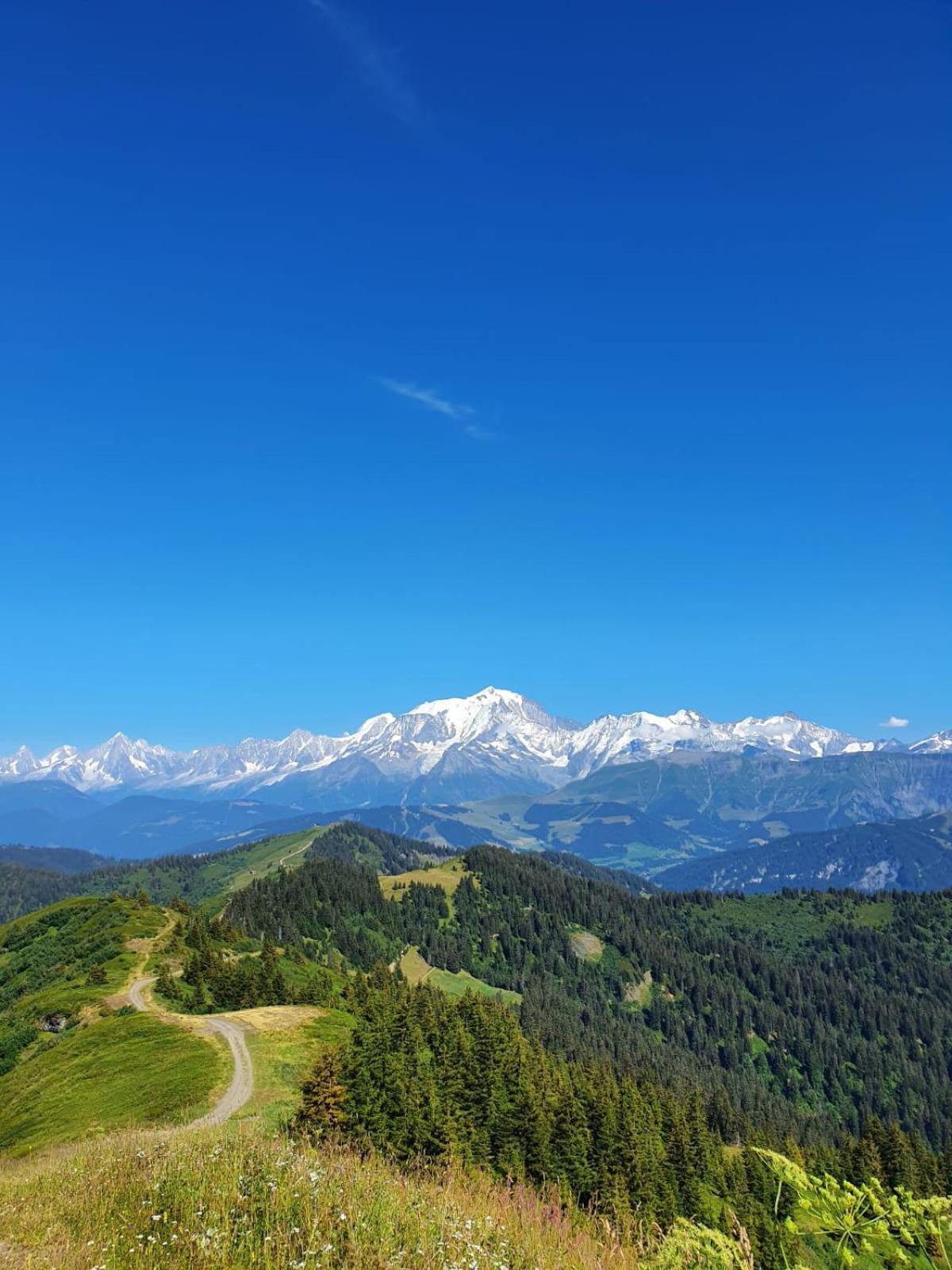 Appartement La Duchere Le Plan-La Giettaz Massif Des Aravis Dış mekan fotoğraf