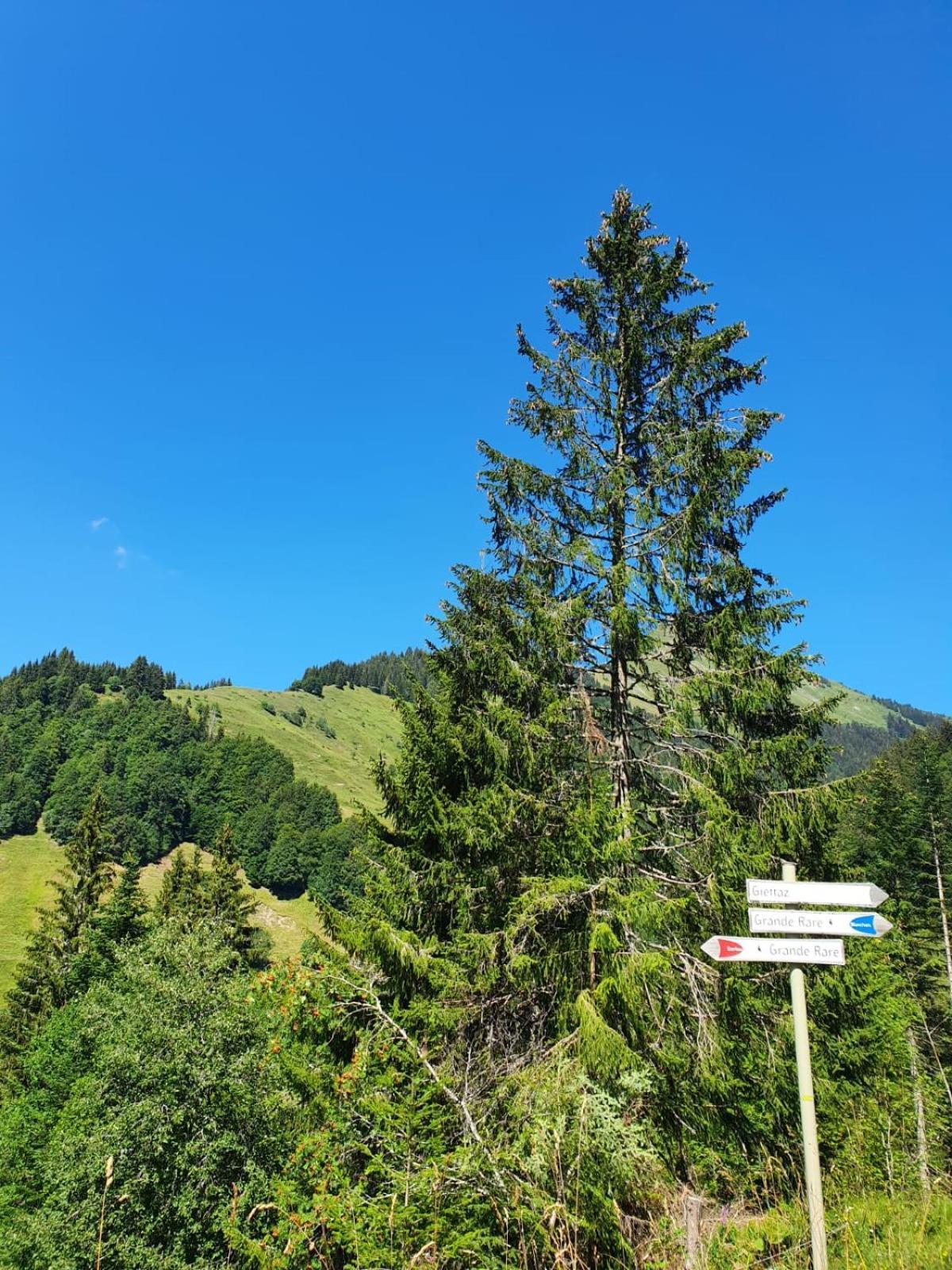 Appartement La Duchere Le Plan-La Giettaz Massif Des Aravis Dış mekan fotoğraf