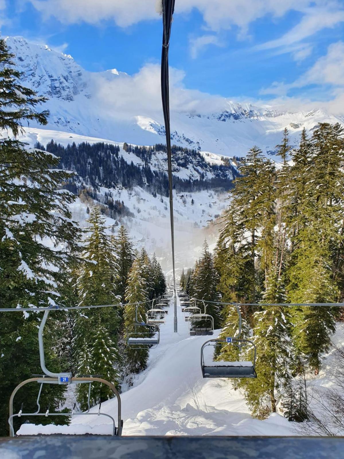 Appartement La Duchere Le Plan-La Giettaz Massif Des Aravis Dış mekan fotoğraf