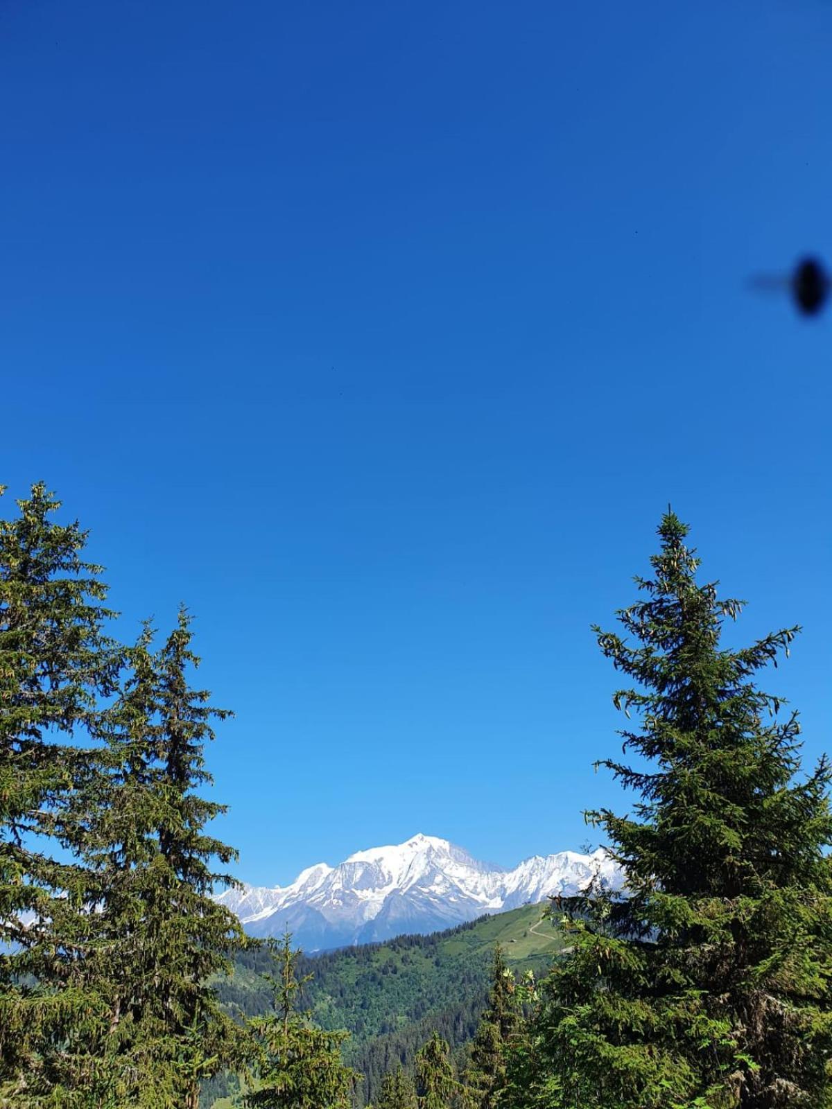 Appartement La Duchere Le Plan-La Giettaz Massif Des Aravis Dış mekan fotoğraf