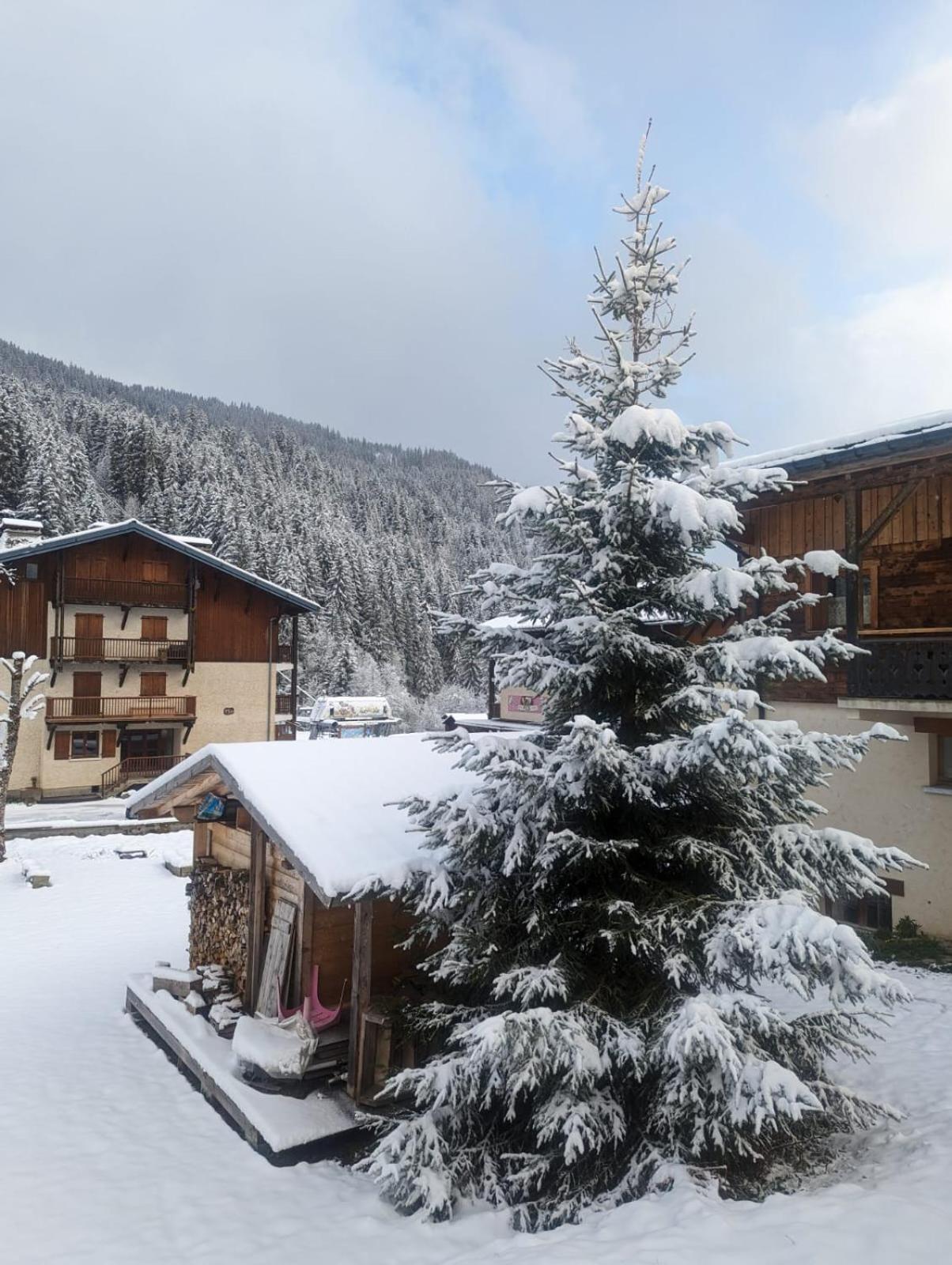 Appartement La Duchere Le Plan-La Giettaz Massif Des Aravis Dış mekan fotoğraf